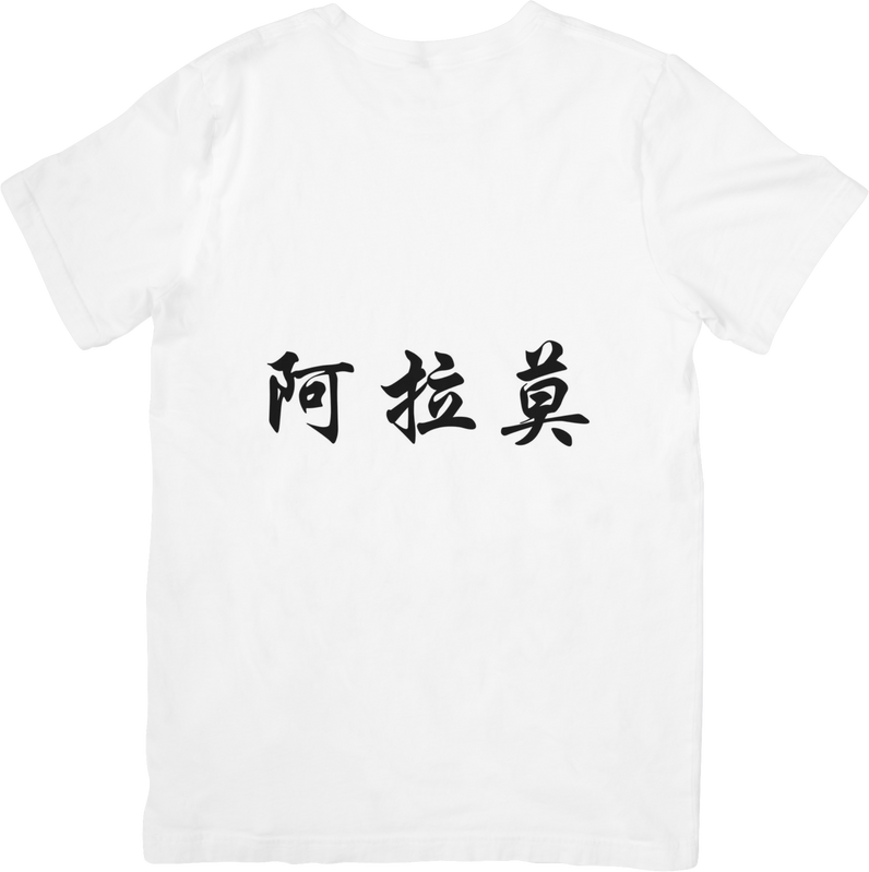 T-Shirt Japanese